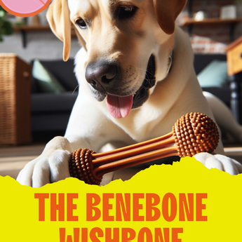 “How do dogs spend spring break? Dogs go on pupcation!”