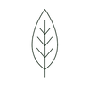folha fina.png