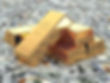 globally photo 2.jpg