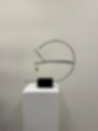 A80E07AD-C42D-42B6-90DE-E778C3907480.heic