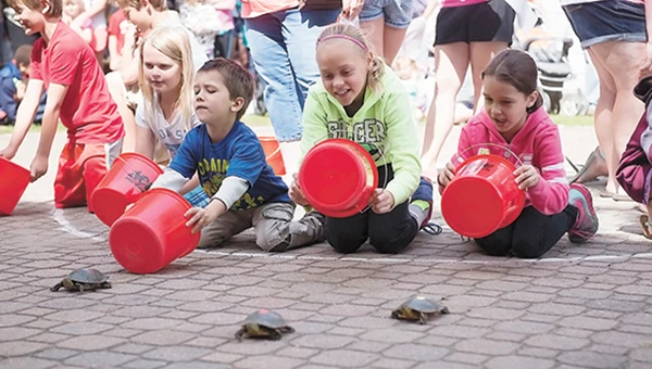 Goldeneagle Community Information