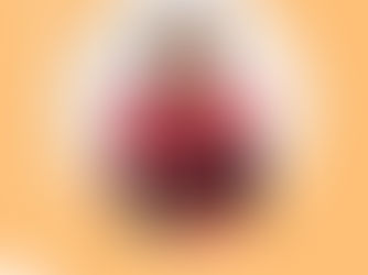 Olivia Crouan, nouveau membre accompagnateur ! 