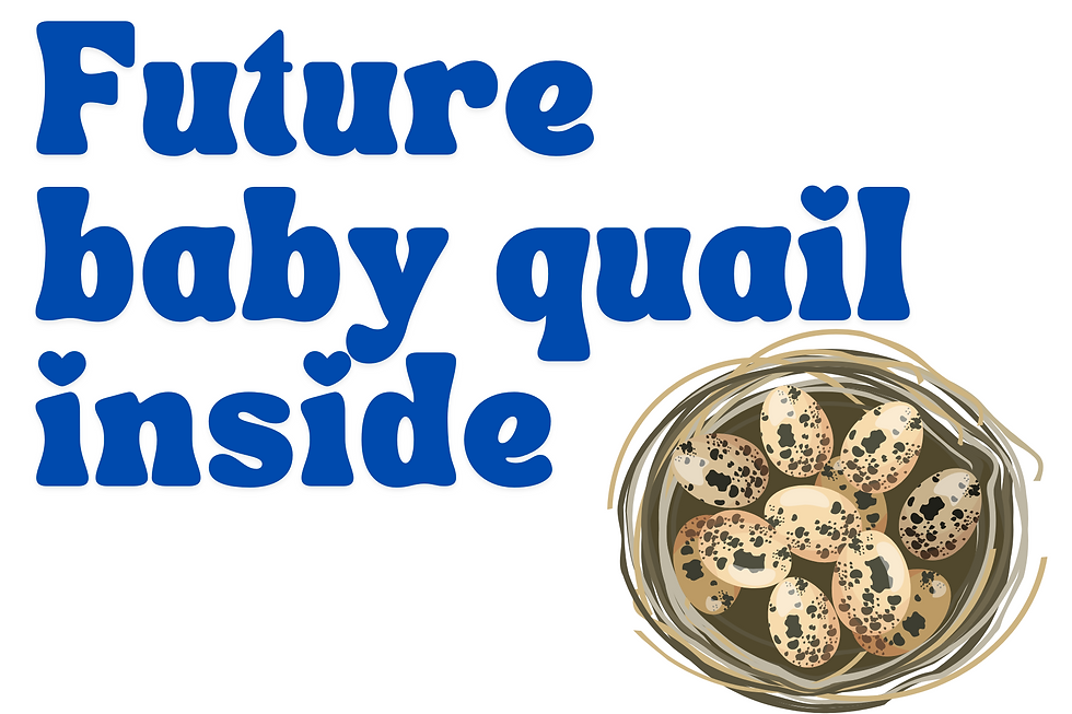 Thumbnail: Shipping Box Stickers