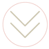 LM Elements (5).png