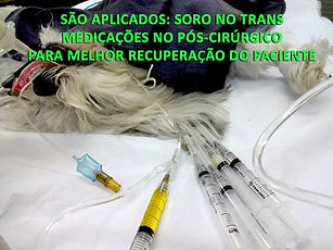 APLICAÇÕES PÓS.jpg