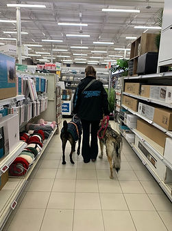 Steeley with Henry and Juni in Canadian Tire