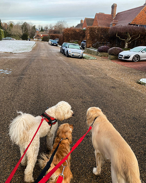 B24712FE-1FEC-4565-B32C-6EEF7D874BA5_edi