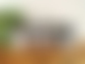 ינשופים וקופיף לזכרה של ניקה ברגר