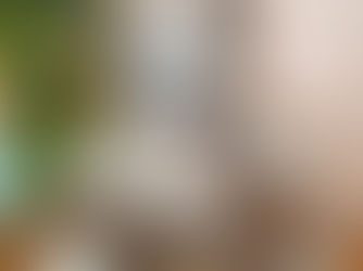 שתי רגליים שמאליות - הדובי מבגדיו של יאיר