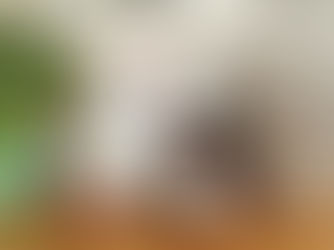 דובי הזיכרון של רועי דאווי