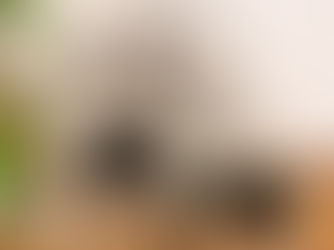 דובים לזכרם של גל ונאג'י עבדוש, שבחייהם ובמותם לא נפרדו