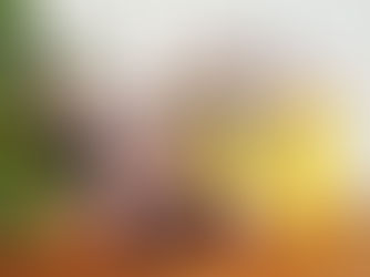 דובים מבגדים, כריות זיכרון ולוכדי זיכרונות