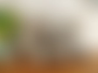 דובי זיכרון