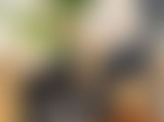 בובות מהסוודרים של בר זוהר