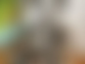 דובון הזיכרון של אמין