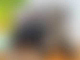 בובות מחולצות של תומר שמעוני, בן 18