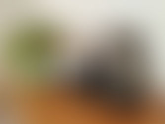 בובות מבגדיה של רותם לוי