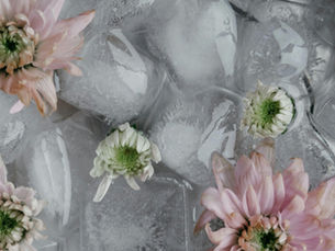 virágok és jégkockák