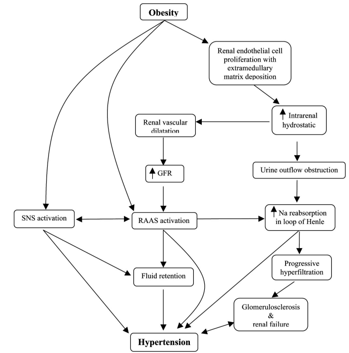 How Weightloss Can Help Hypertension?
