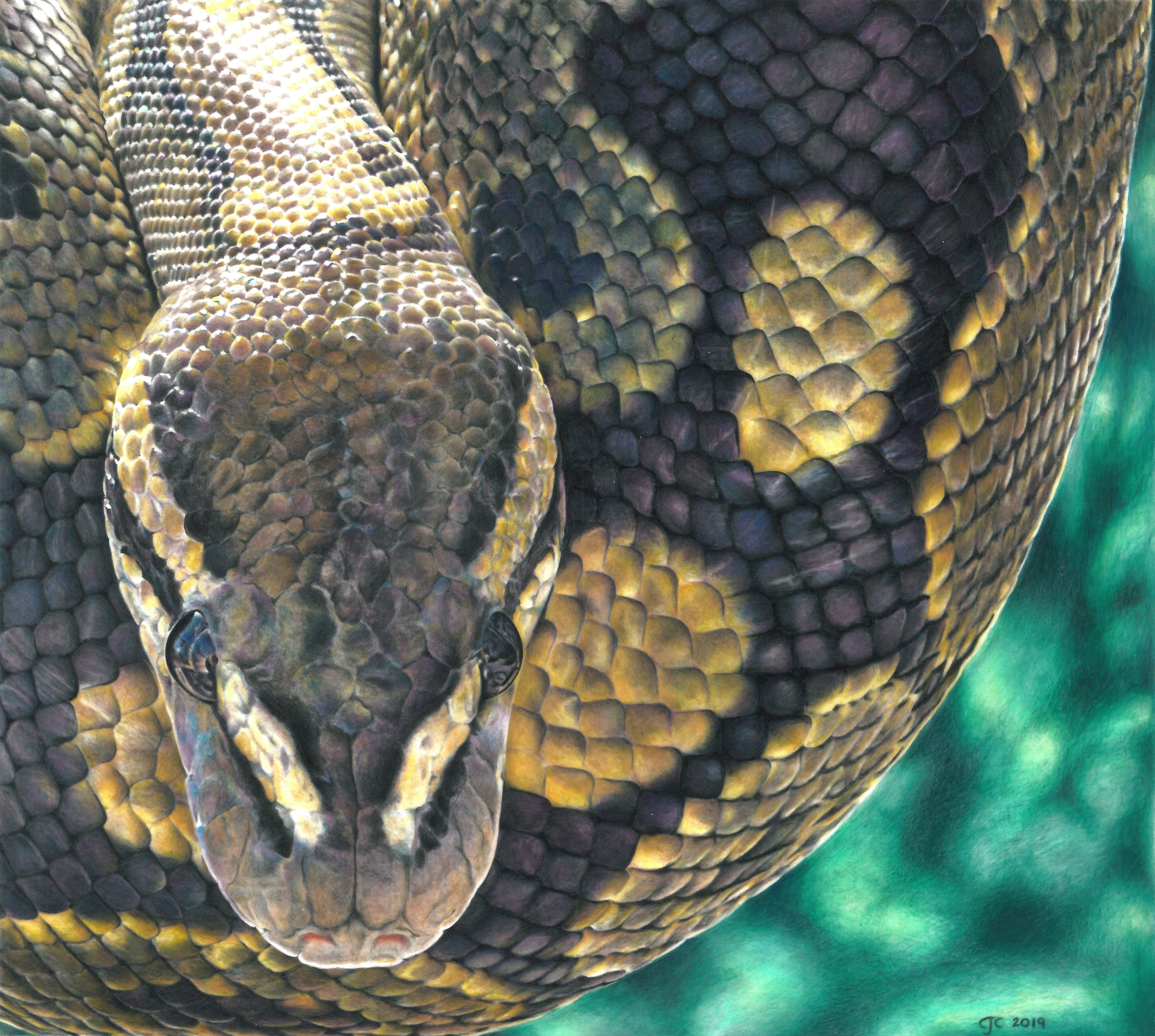 Python