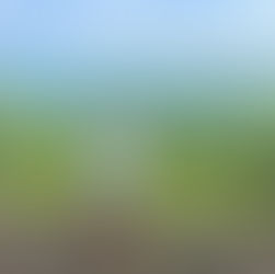 3 Simple Ideas for When Life Feels Chaotic