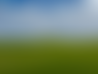 Little Healing Things