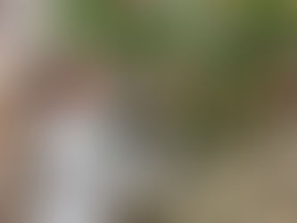 25 Simple Ways to Renew This Spring