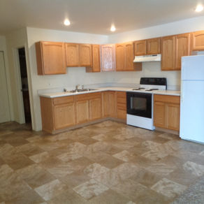 RENTED~2363 Joseph Drive Mt. Pleasant MI 48858