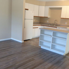 RENTED~1113 E. Bellows, Mt. Pleasant MI 48858