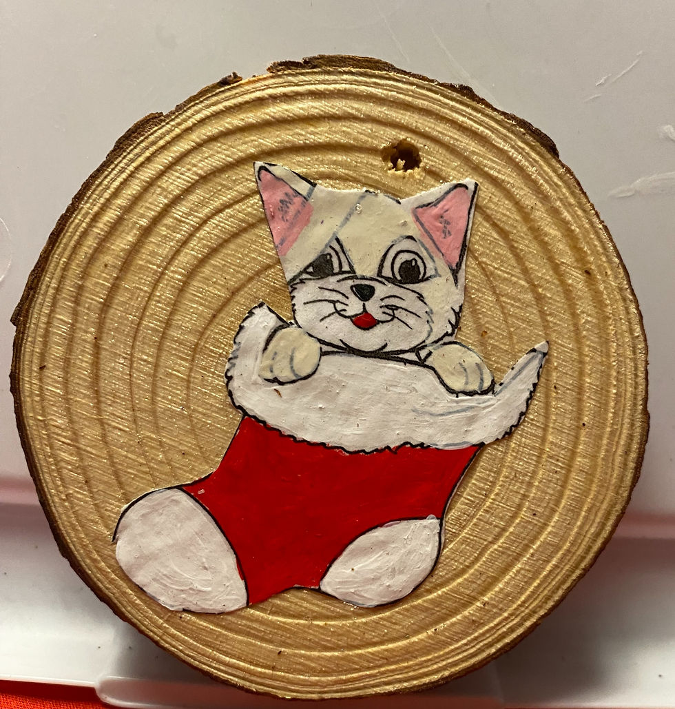 Kitten in a stocking