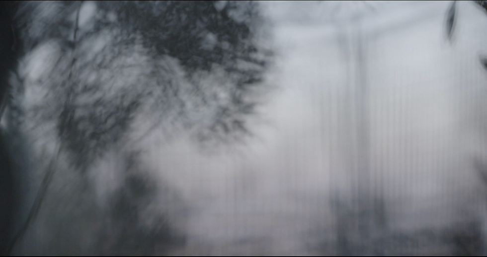 Screenshot 2024-11-30 at 14.40.59.png