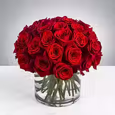 3doz roses.avif