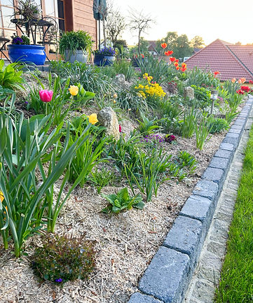 Mulchmaterial Miscanthus_edited.jpg