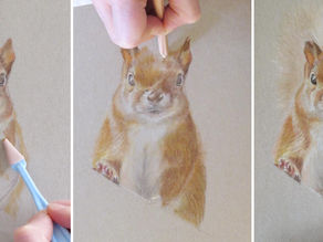 Autumn colors, a squirrel in Pastel.