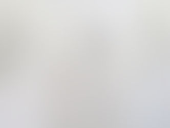 Pencil drawing of girl with horse