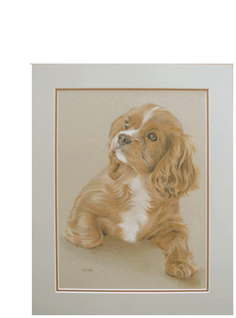 Pastellzeichnung eines Hundes 50x40 cm