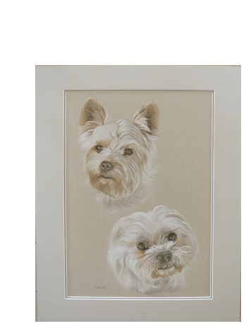 Pastellzeichnung von zwei Hundeköpfen 50x40 cm
