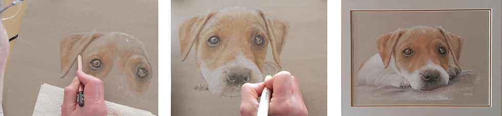 Adorable little puppy in pencil drawing | Kleiner Welpen in Pastel