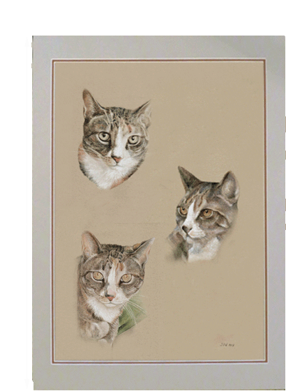 Pasteldrawing of three cats 70x50 cm