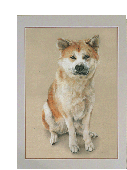 Pastellzeichnung eines kompletten Hundes 70x50 cm