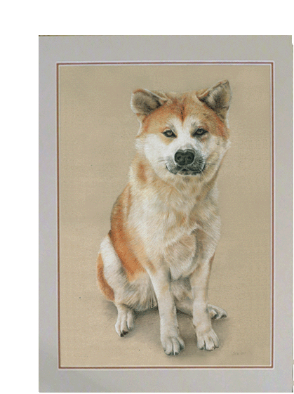 Pasteldrawing of a complete dog 70x50 cm