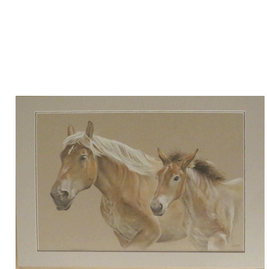 Pasteldrawing of two horsehead 50x70 cm