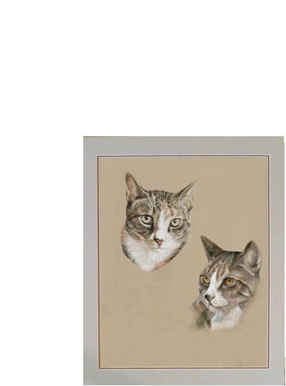 Pastellzeichnung von zwei Katzen 50x40 cm