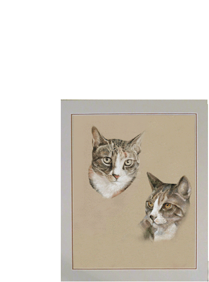 Pasteldrawing of two cats 50x40 cm