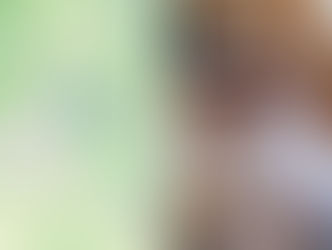 Invitation to the Tower Festival in Zichem