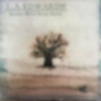 Secrets We'll Never Know CD