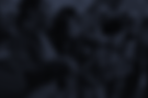 Activistm_Photo.png