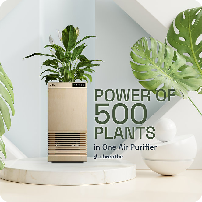 Thumbnail: uBreathe Life Classic | Home Air Purifier