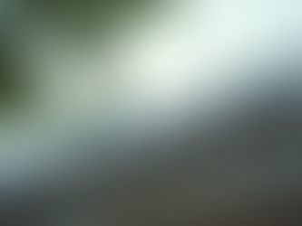 Essential Roof Care Tips for Lasting Protection