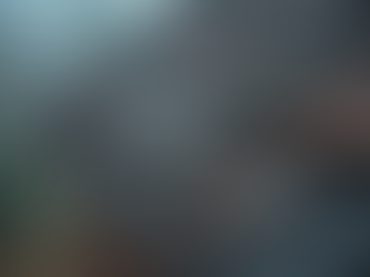 Factors Influencing Roof Repair Pricing